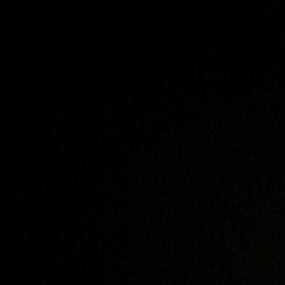 Meet your Posher, Liz